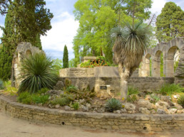 Jardin des plantes de Montpellier